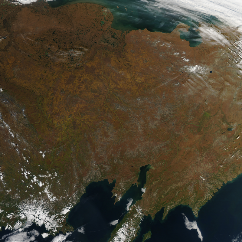 Illustration for article titled Fall Colors Look Even Better From Space